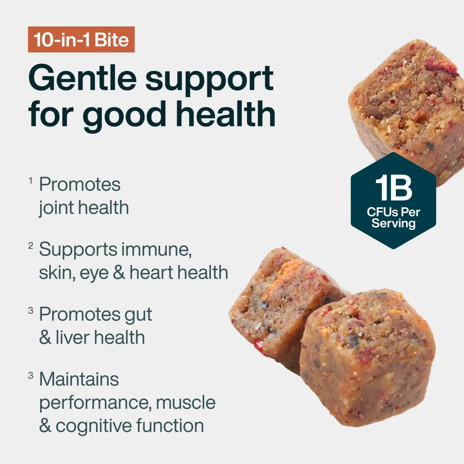 10-in-1 Bite - Image 2
