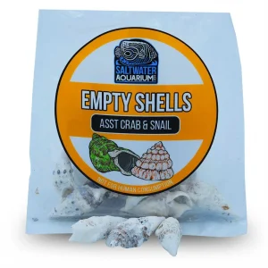 (10) Medium Conical Shaped Sterilized Aquarium Safe Empty Shells