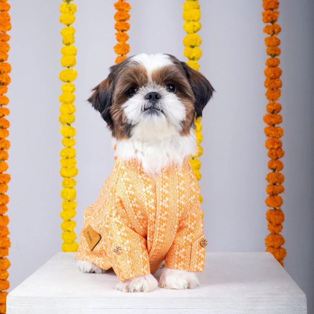 15 Furries Haldi Kurta for Dogs - Image 2