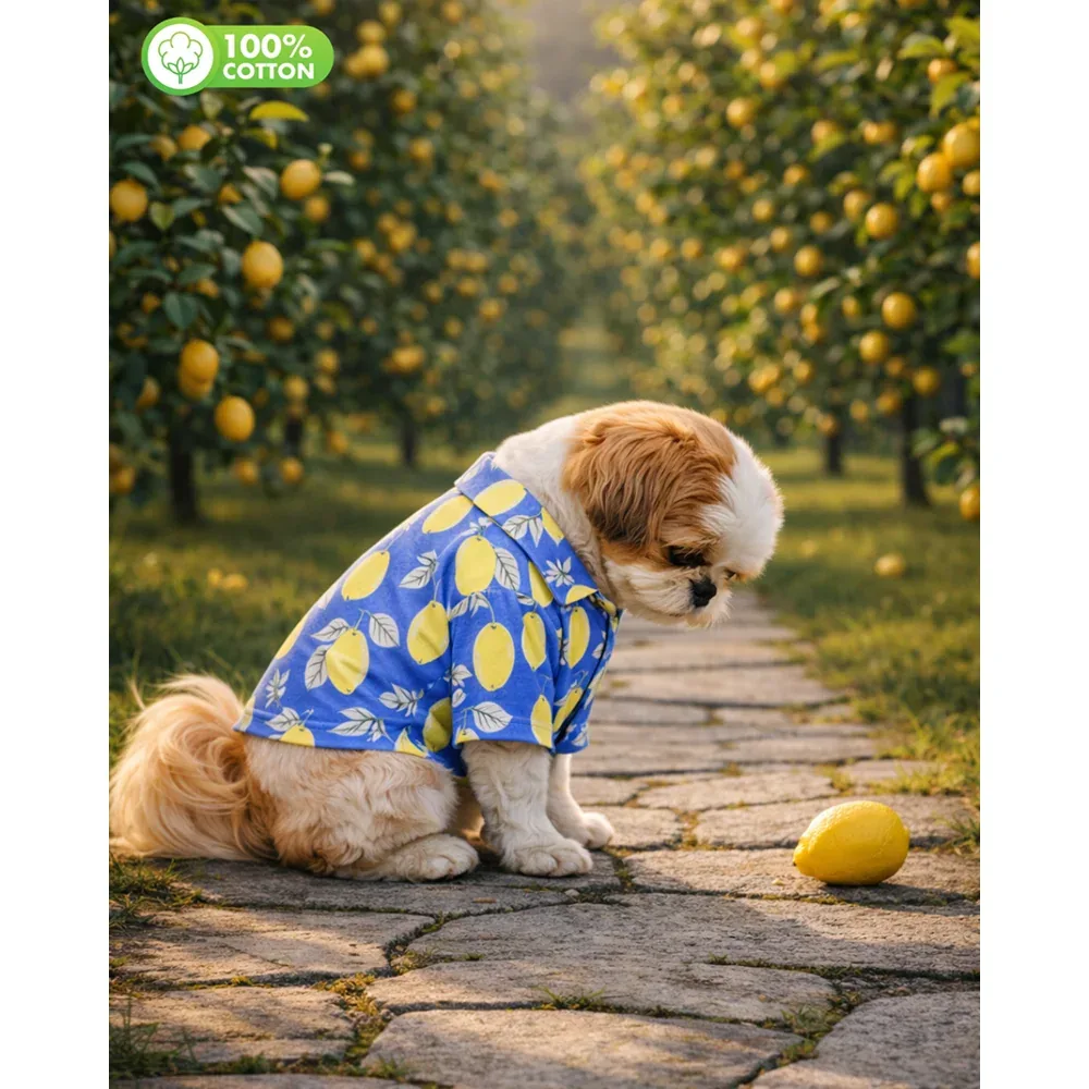15 Furries Lemon Printed Cotton Shirts for Dogs (Santorini Blue) - Image 2