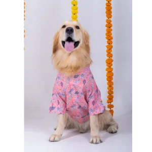 15 Furries Utsav Kurta for Dogs