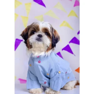 15buttons Mirrorwork Kurta for Dogs (Powder Blue)