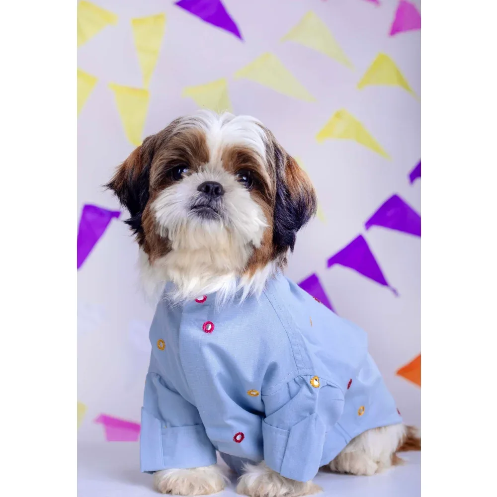 15buttons Mirrorwork Kurta for Dogs (Powder Blue)
