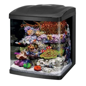 16 Gallon BioCube Aquarium w/LED (Tank Only) - Coralife