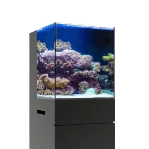 20 Gallon Nano RL Rimless Aquarium (Tank Only) - JBJ