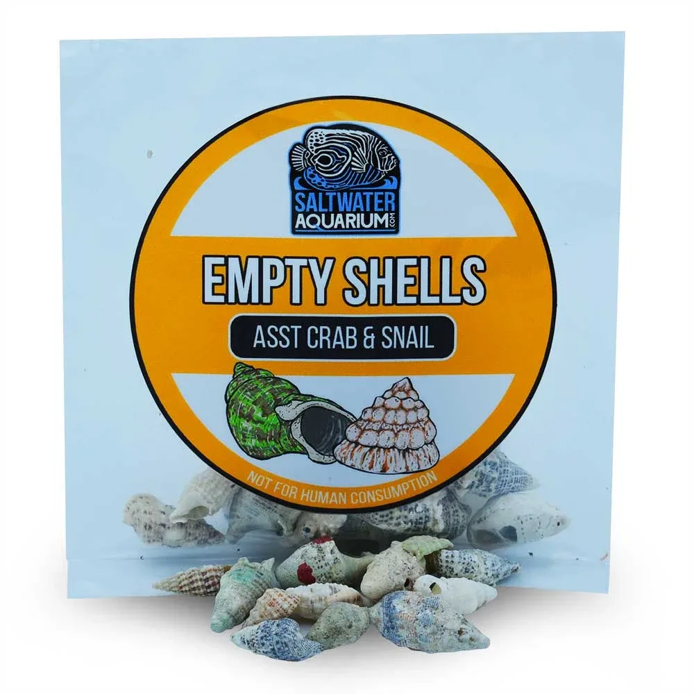 (20) Small Conical Shaped Sterilized Aquarium Safe Empty Shells