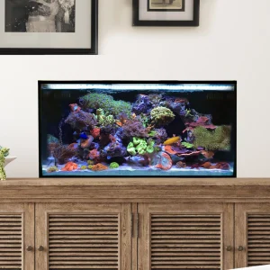 25 Gallon Fusion AIO (All in One) Lagoon Aquarium (0517-P) – Innovative Marine