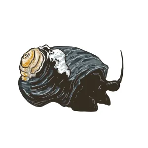 (25) Pack Black Margarita Snail (Margarites pupillus) - Cleanup Crew
