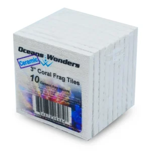 3" Coral Frag Tiles Ceramic- 10 Pack - Oceans Wonders