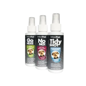 3-Spray Training and Cleaning Kit
