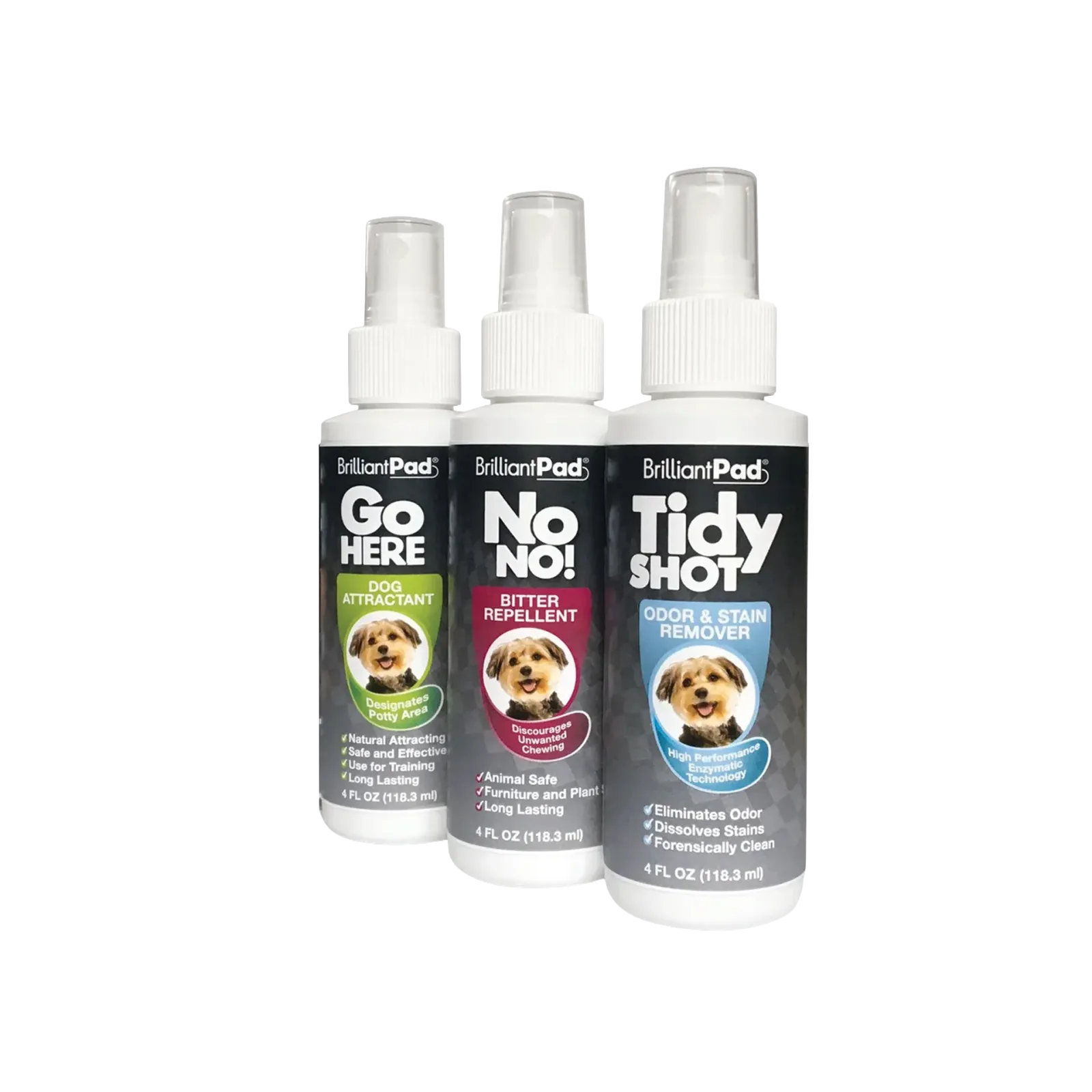 3-Spray Training and Cleaning Kit