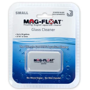 30 Small Glass Algae Magnet - Mag Float