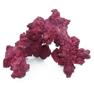 (4 Pack) Real Reef Arches Box - Real Reef