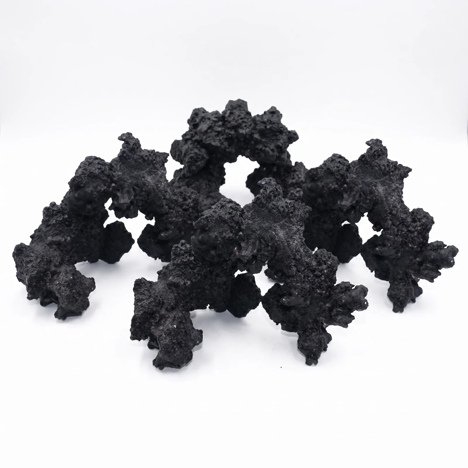 (4 Pack) Real Reef Arches Medium MIDNIGHT BLACK Box - Real Reef