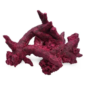 (4 Pack) Real Reef FANCY Arches Box - Real Reef