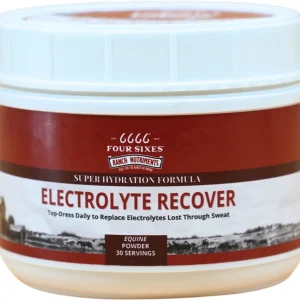 6666 Electrolyte Recover Powder