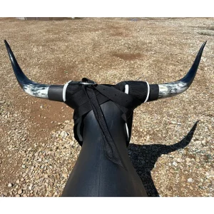 7K Roping Something Dummy Real SuperHorns