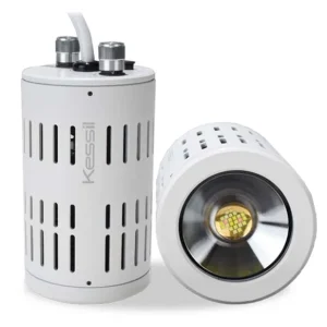 A160WE Tuna Sun FRESHWATER (WHITE) Exclusive Special Edition Package - Kessil