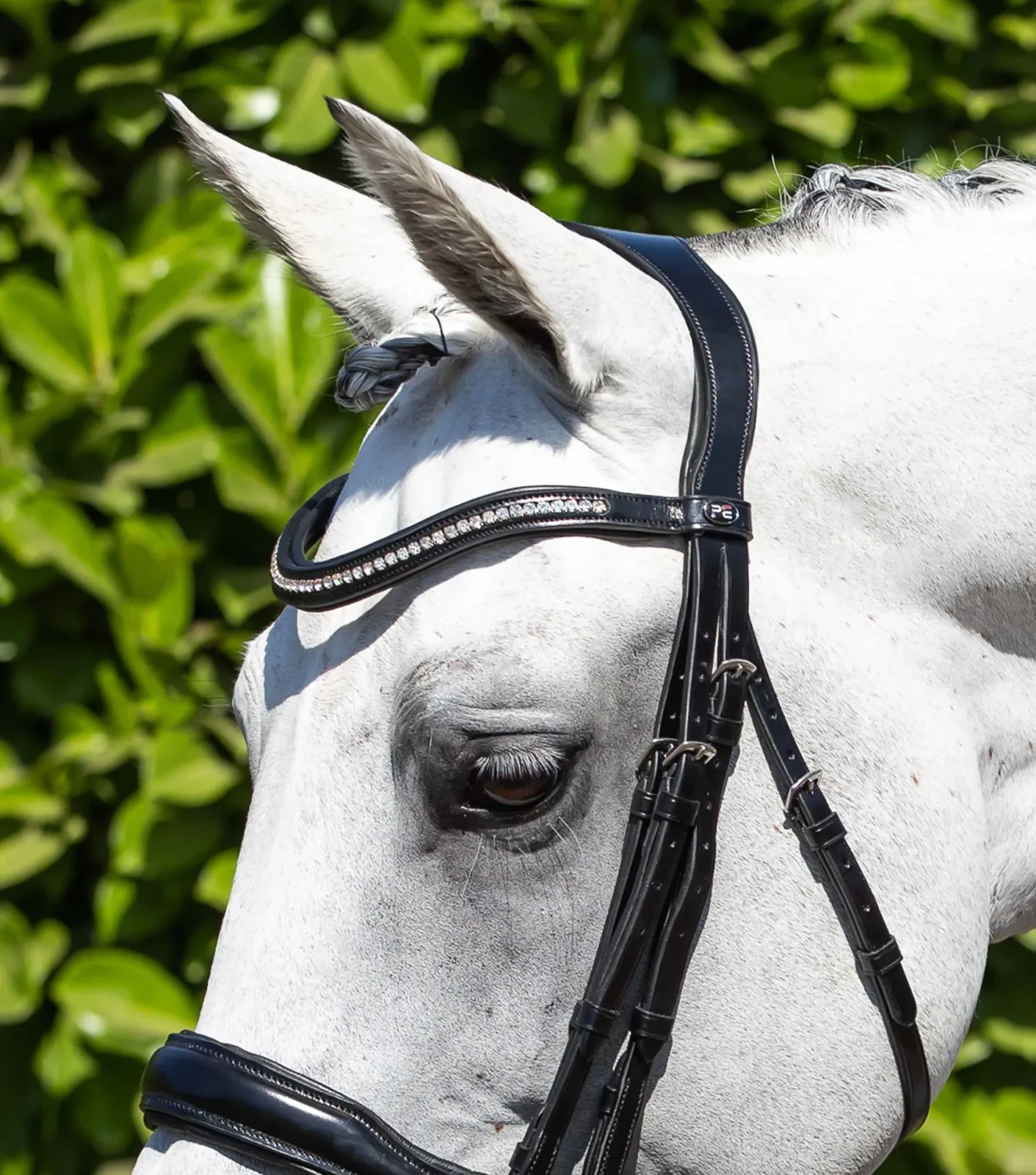 Abriano Anatomical Double Bridle Black - Image 2