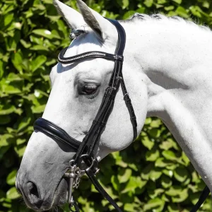 Abriano Anatomical Double Bridle Black