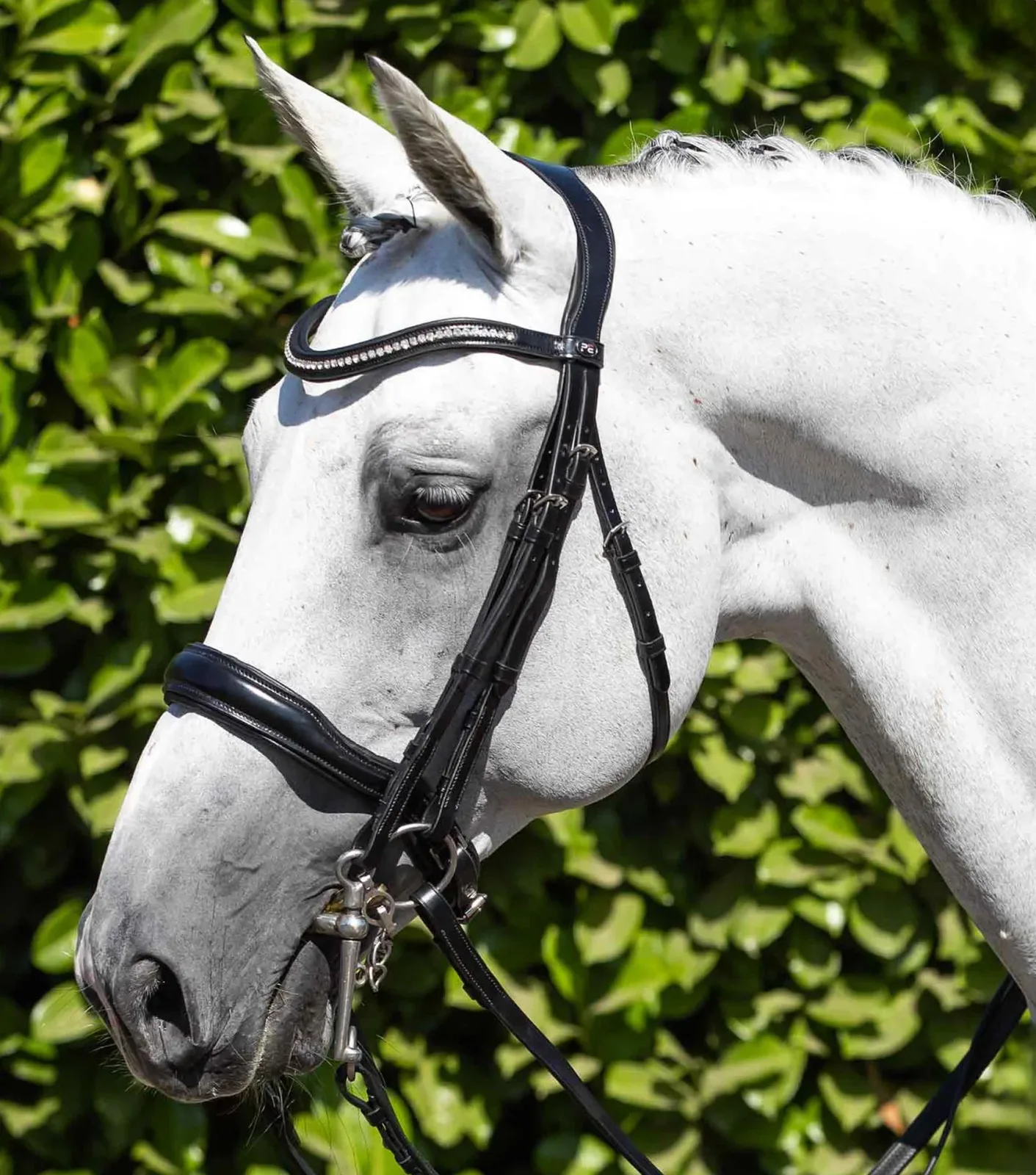 Abriano Anatomical Double Bridle Black