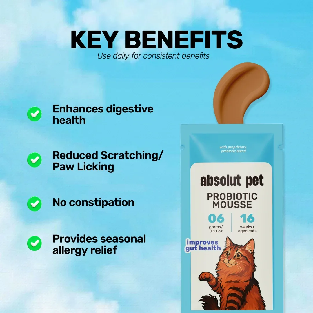 Absolut Pet Probiotics Gut Health Creamy Supplementss for Cats - Image 2