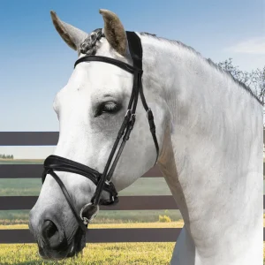 Acavallo® Maesta Bridle