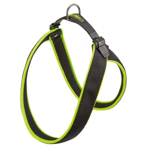AGILA FLUO 1-9