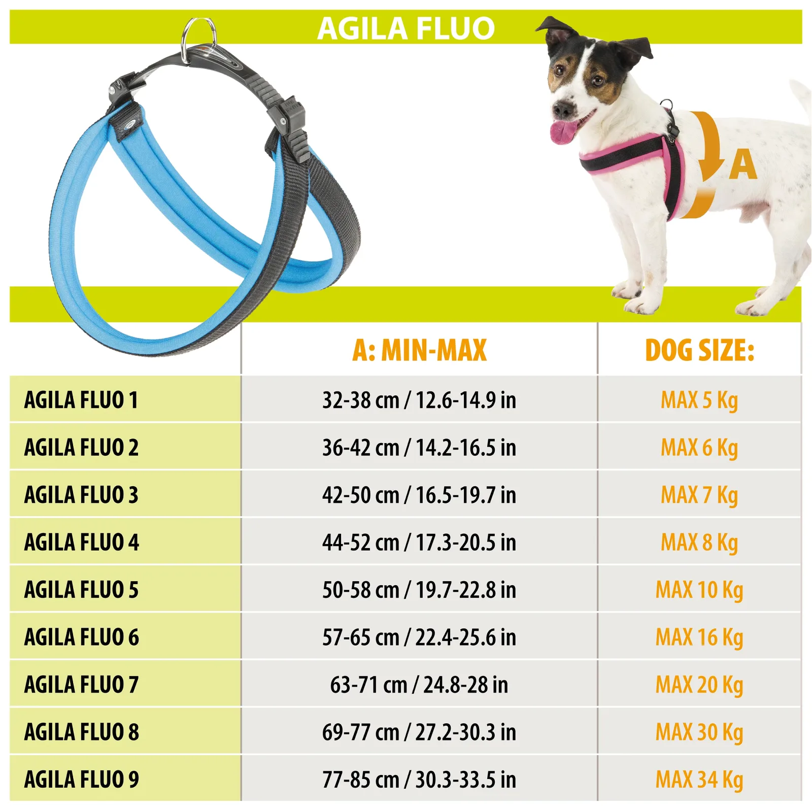 AGILA FLUO 1-9 - Image 2