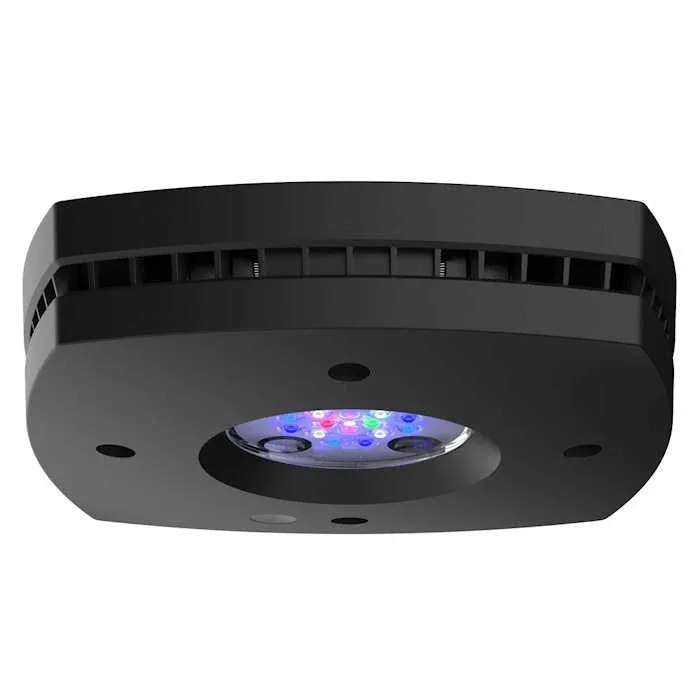 AI Prime 16 HD Reef LED Module - Black - AquaIllumination