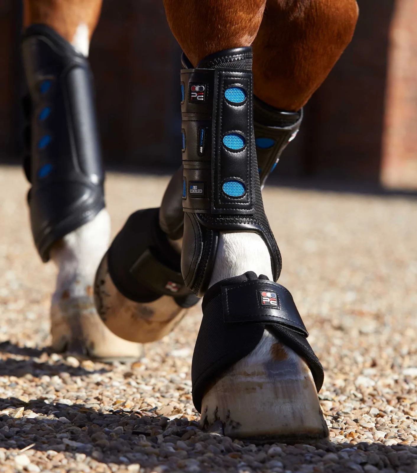 Air Cooled Original Eventing Boots Black Front - Image 2