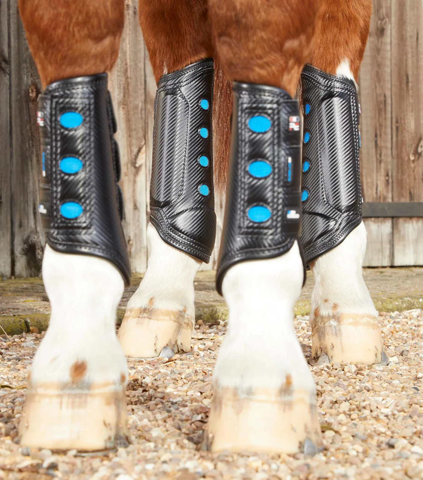 Air Cooled Super Lite Carbon Tech Eventing/Racing Boots Black Hind - Image 2