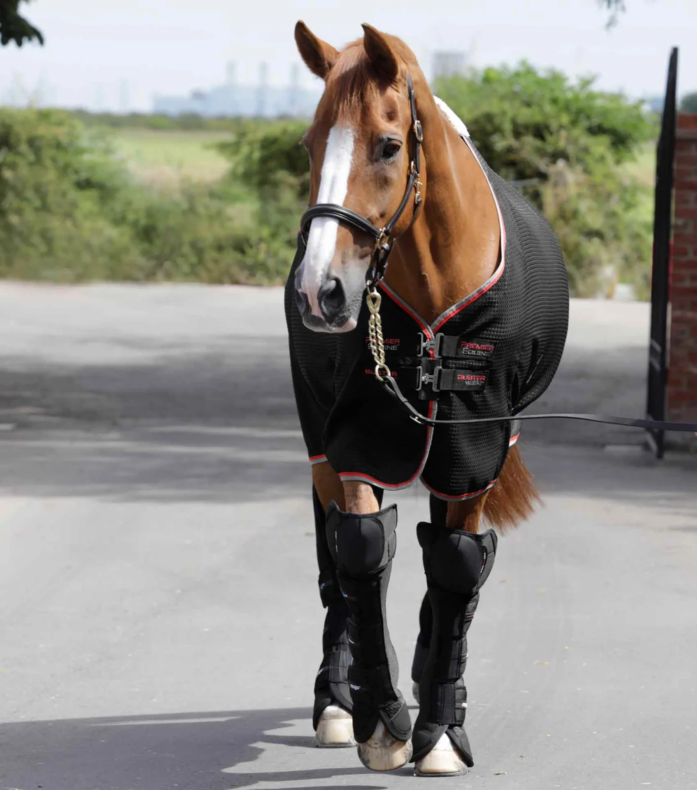 Airtechnology Knee Pro-Tech Horse Travel Boots Black - Image 2
