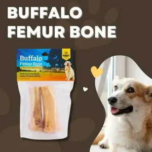 All Natural Water Buffalo Femur Bone Chew for Dogs