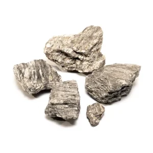 Ancient Petrified Stone