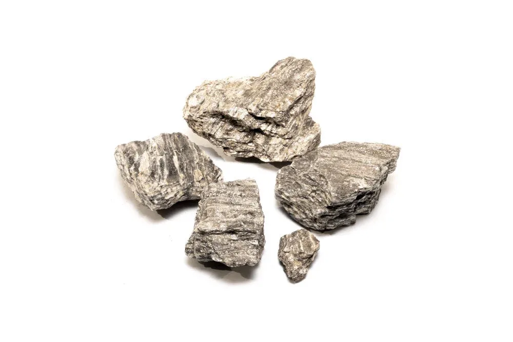 Ancient Petrified Stone