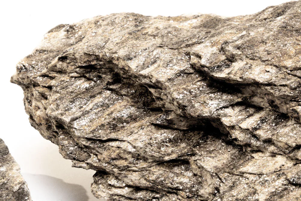 Ancient Petrified Stone - Image 2