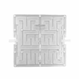 Ant Maze 20×20