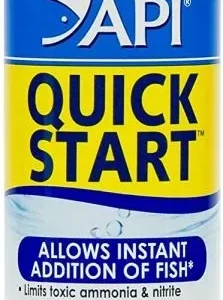 API Quick Start