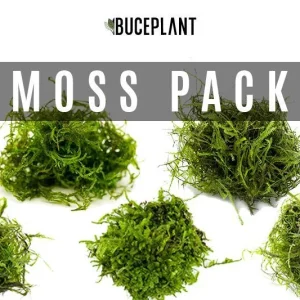 Aquarium Moss Collector Pack