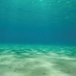Aquatic Creations Ocean Floor Cling Aquarium Background
