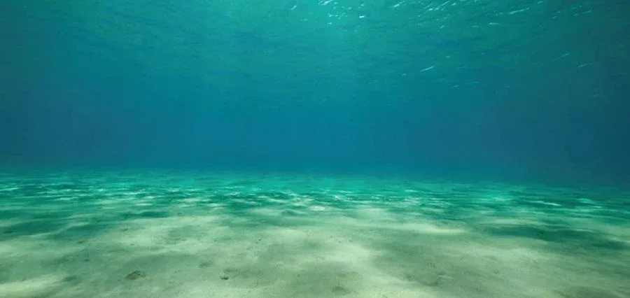 Aquatic Creations Ocean Floor Cling Aquarium Background