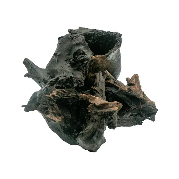 Aquatic Driftwood - Image 2