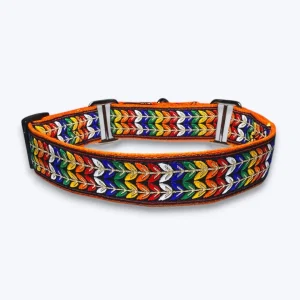 Aramesh Colourful Trails Martingale Collar for Dogs (Orange)