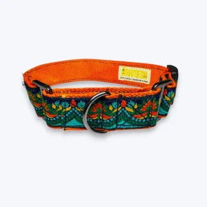 Aramesh Fire and Ice Martingale Collar for Dogs (Orange and Green)