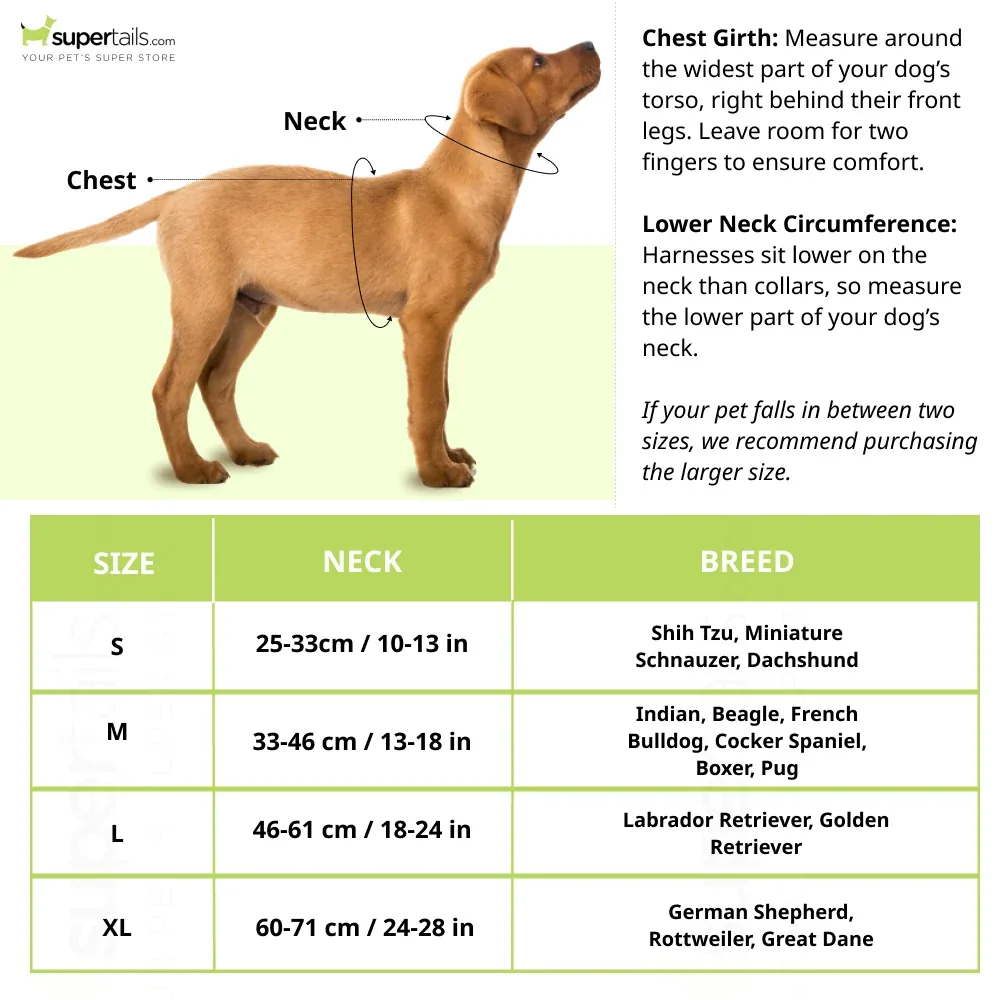 Aramesh Sultan Paws Martingale Collar for Dogs (Brown and Cream) - Image 2