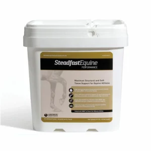 Arenus Steadfast Equine Performance 60ct
