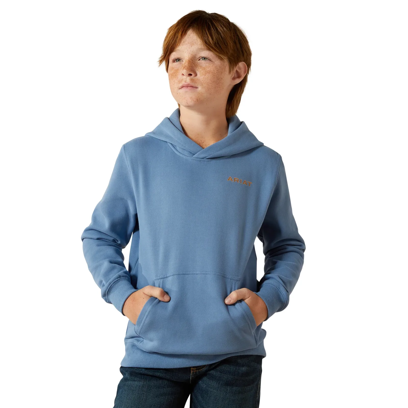 Ariat Boy's Coronet Sun Valley Circle Hoodie - Image 2