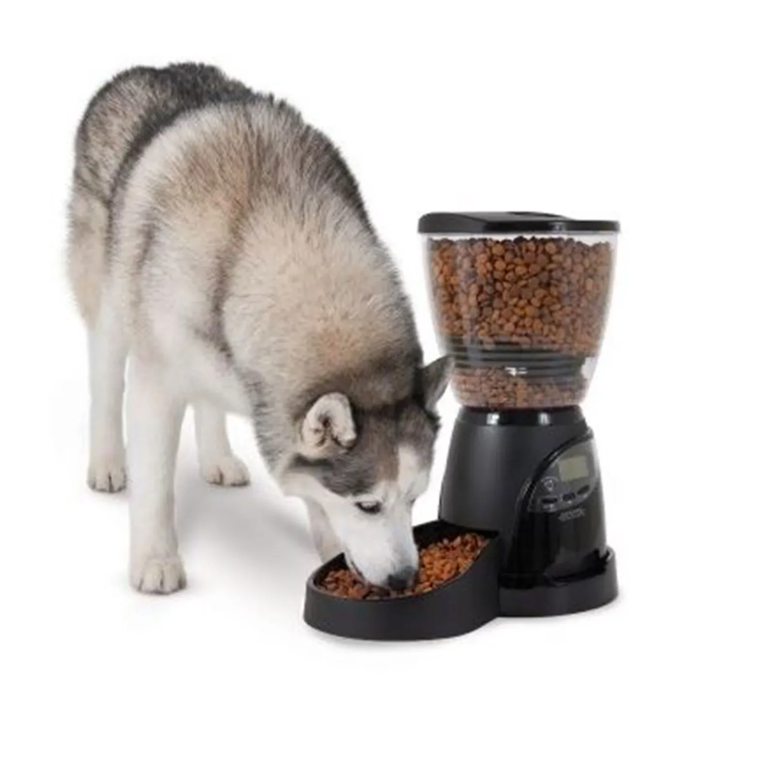 Aspen Pet Lebistro Programmable Food Dispenser - Image 2