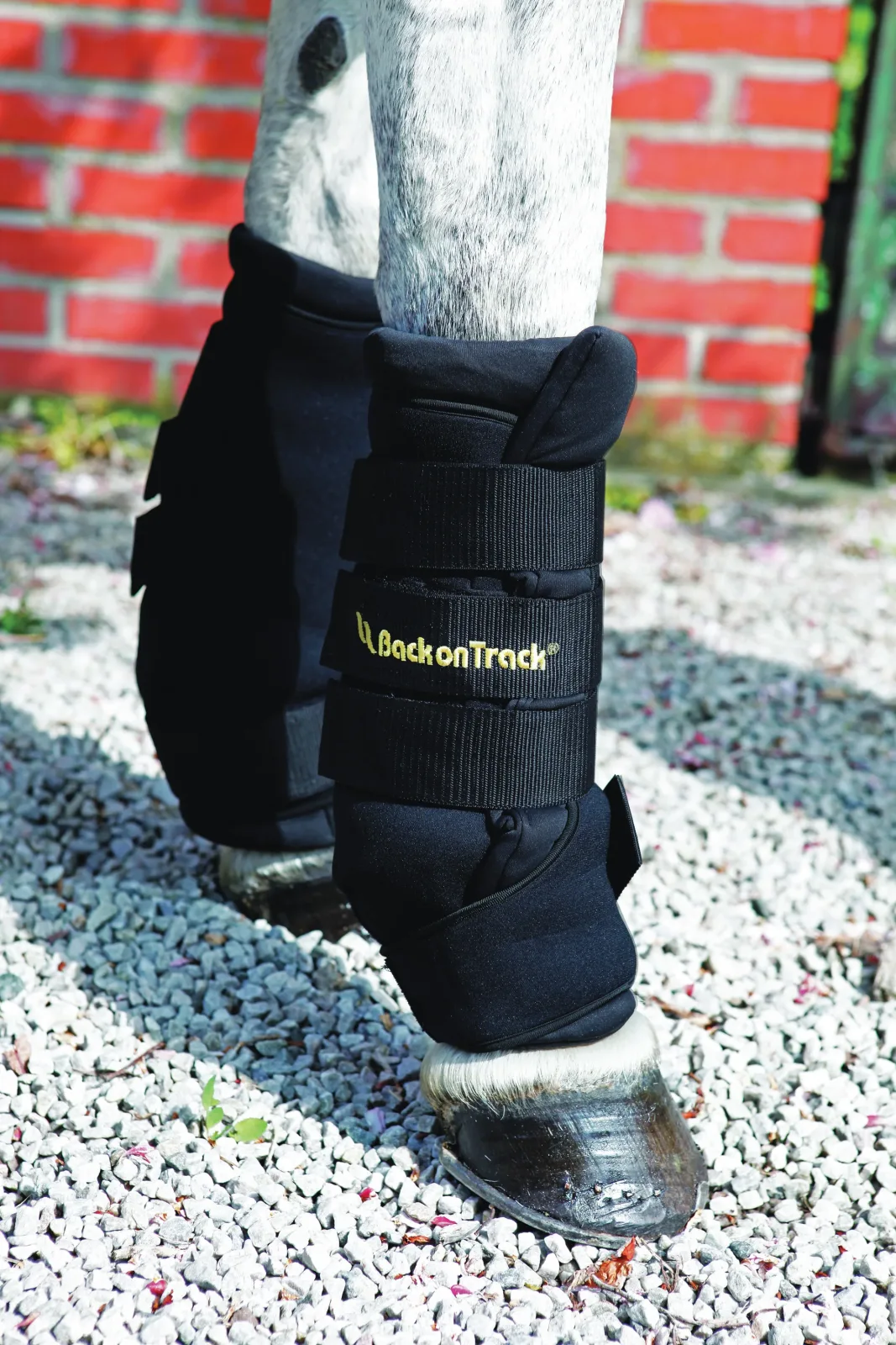 Back on Track® Royal Quick Wraps - Image 2